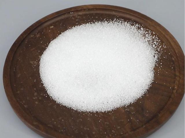 狗狗不能吃的 10 种食物！喂错一口可能进医院