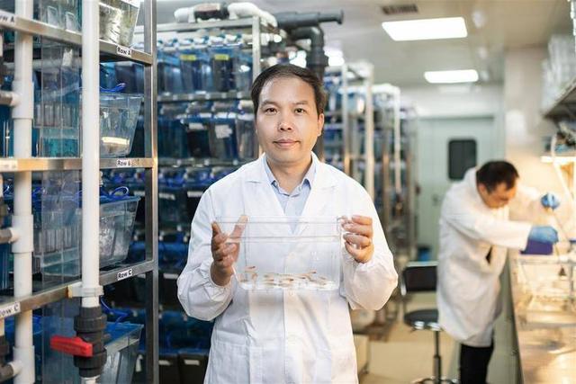 神舟二十一号发射！4只小鼠被带进太空，航天员手腕黑带不简单