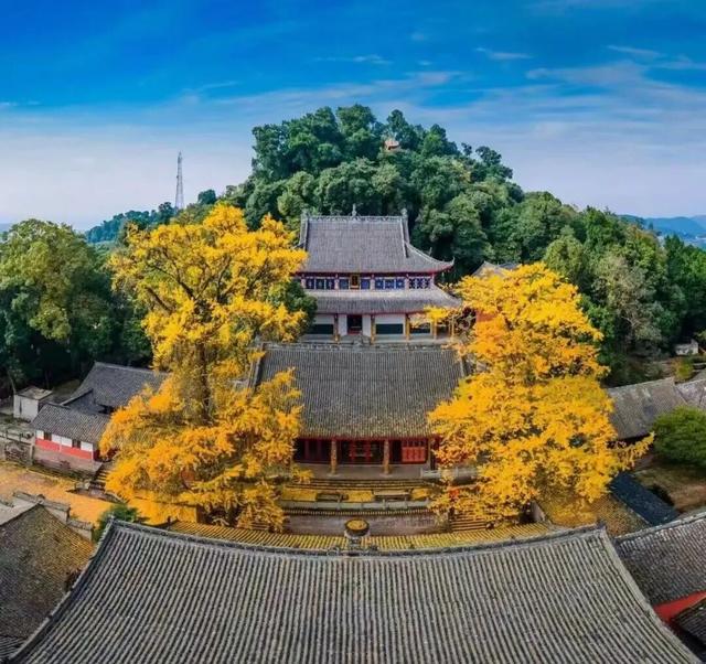 接下来的金堂，即将美成这样→