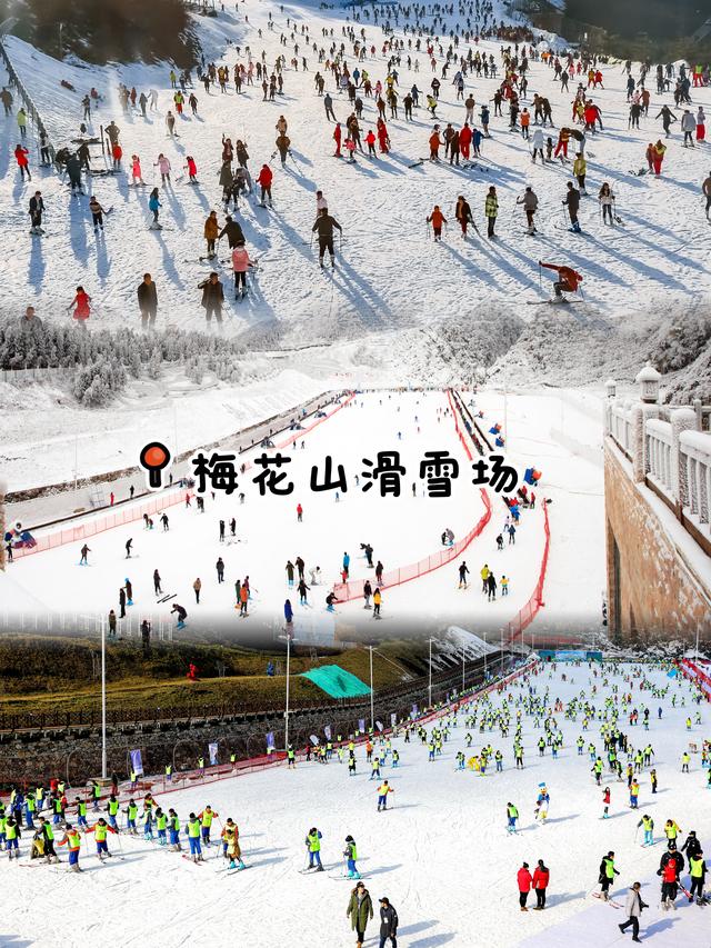 贵州元旦怎么玩❄️看这篇就够啦！