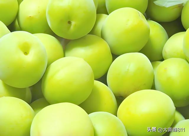 认识大美广东的每个县——第20波：陆河