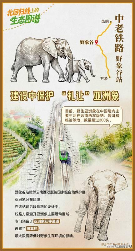 如画卷徐徐展开！跟着中老铁路打卡沿线美景