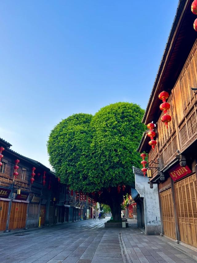 广州人去了厦门与福州，直言不讳：厦门人和福州人气质截然不同！