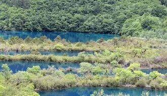 【美丽四川】九寨归来不看水‖管恒庆