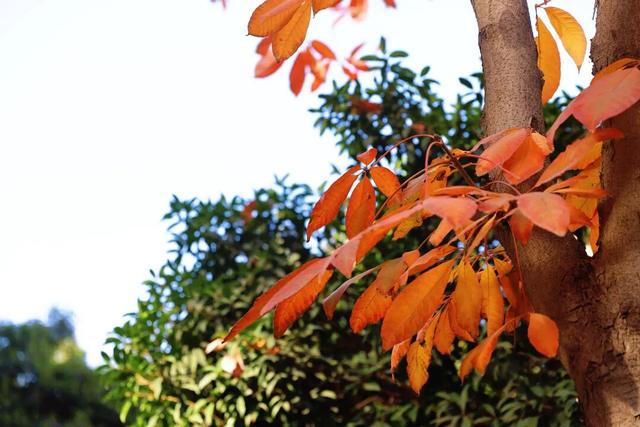 在纺织公园，遇见你的冬日小确幸~