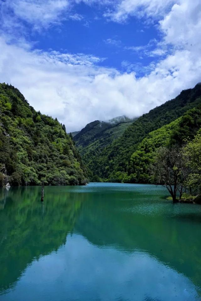 教师专属福利！松坪沟免门票，这片夏末绿意我们为您买单！