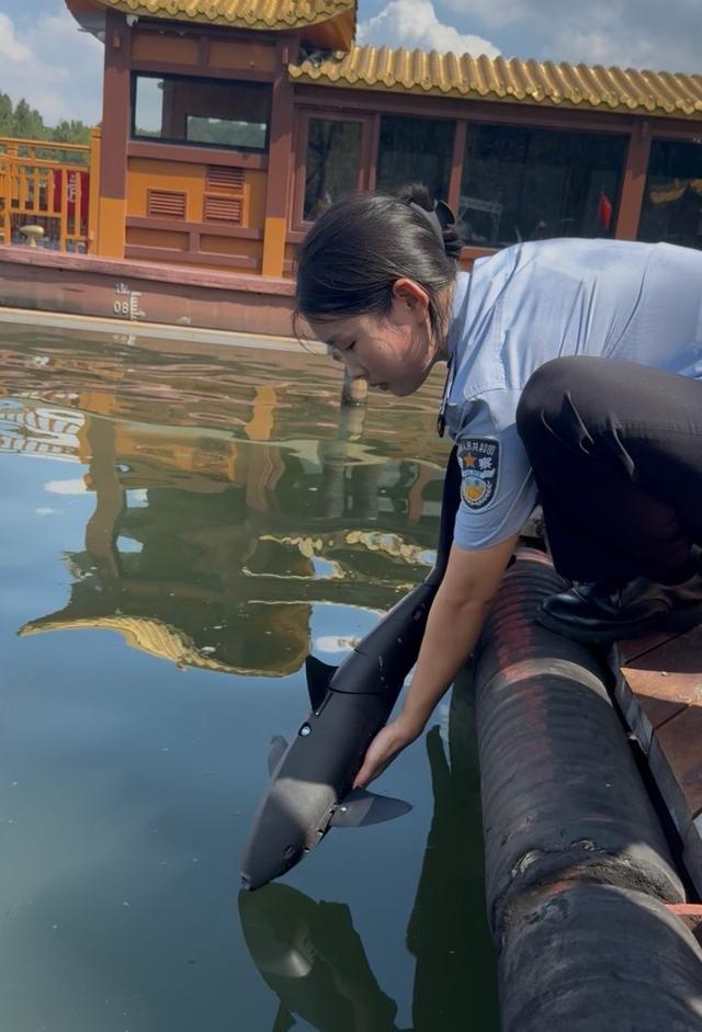 杭州西湖现仿生鲨鱼