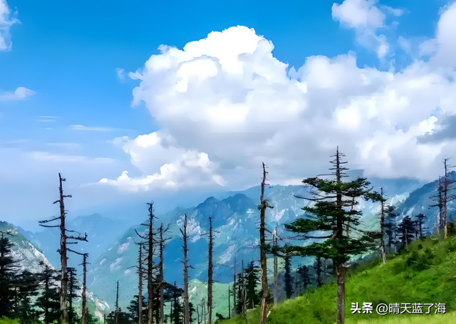 “秦岭封山真相：不是不让你爬，是怕你回不来！”——户外实情！