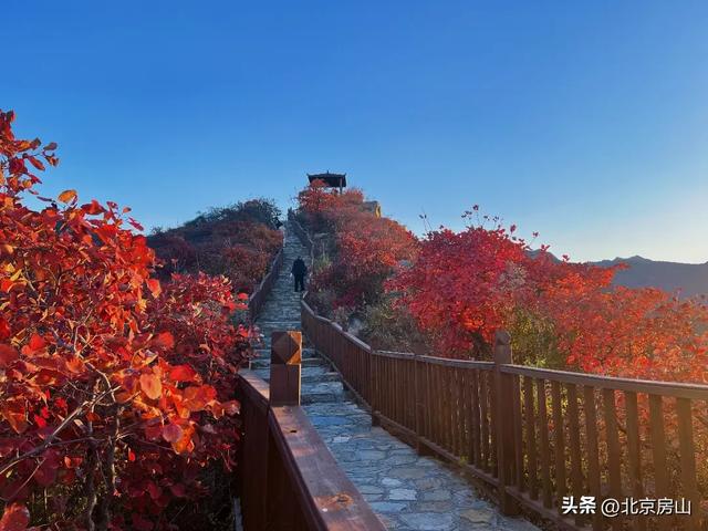 诚邀您共赴一场焕活身心的“森”呼吸之旅！