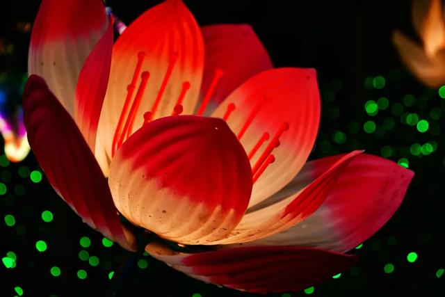 桂林：首届非遗千灯游园，光影艺术璀璨盛宴！