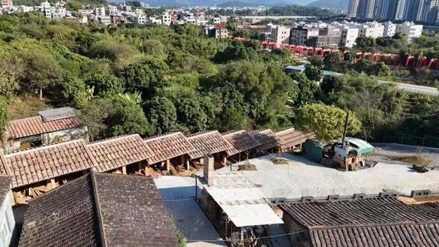 定好闹钟!就在明天!两场重磅直播→