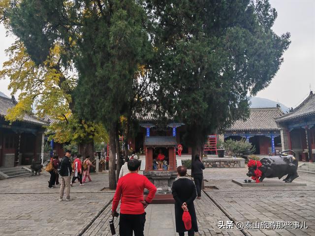 泰安：又是一年重阳时！带家中老人去哪儿走走？推荐一个免费景点