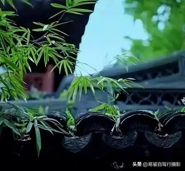 震撼！故宫瓦当，紫禁城守望者；中式美学老屋瓦当 只有中国人才懂