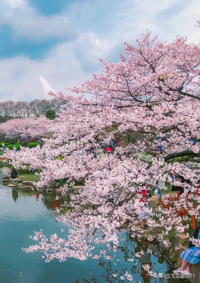春暖花开，正是赏花好时节，这份三月赏花路线图请收好