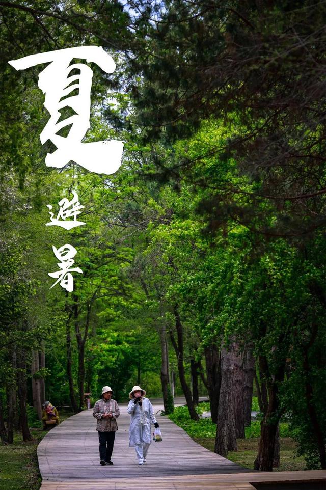 张钧甯：“很想去净月潭看看”！长春净月潭：欢迎