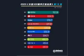 2025年中国500最具价值品牌发布，山东40家品牌入选图片
