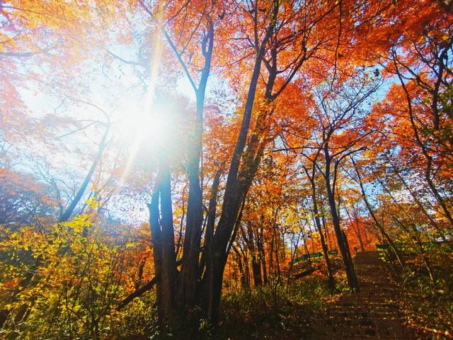 赏秋正当时!自驾来汉中,赴一场秋日视觉盛宴~