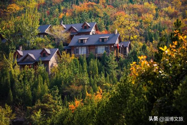 红了！淄博绝美红叶季来袭，一景区免费！等天晴，就出发→
