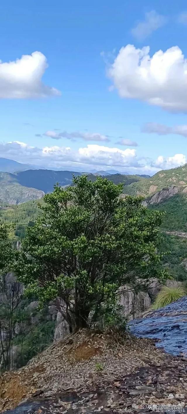 环浙步道上的小众穿越秘境,这条充满挑战的徒步环线你可去过?