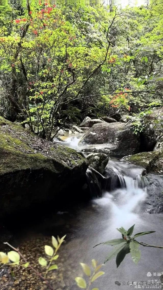 真正的小众避暑胜地！这方秘藏于千米高山之上的清凉秘境等你来！