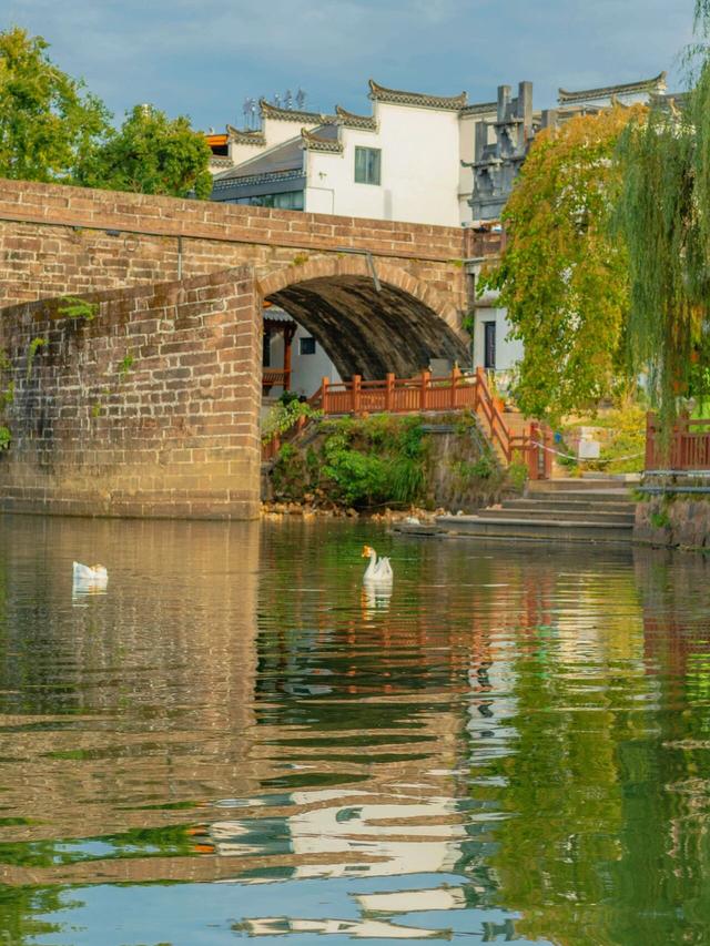 秋假搭配松弛感，齐云山的秋天有亿点不一样 | 皖美冬日 | 第十五届安徽国际文化旅游节