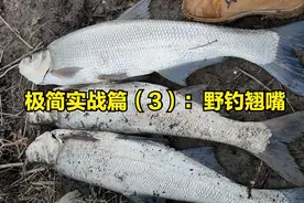 极简实战篇（3）：野钓翘嘴重点理解三大四小 人人都是高手图片