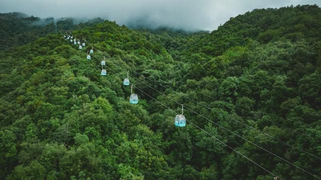 腾冲银杏季｜4天5夜黄金攻略，把金黄、温泉、烟火全打包～