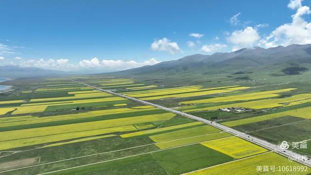 寄情青海湖 图文/叶桦