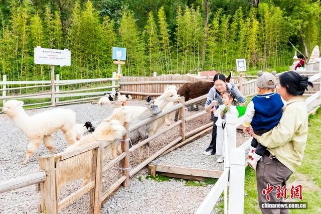 周末出发！嘉陵江湾有这些新“耍”事