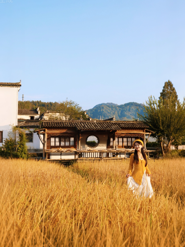 这个秋日，西递超好看的！| 皖美秋日