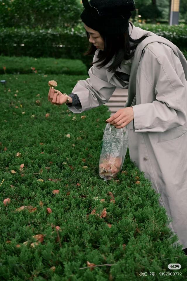临沂秋日捡秋啦 | 把秋天，装进你的时间胶囊~