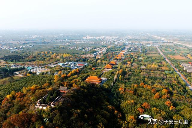 楼观台的古树和故事