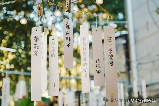 赏银杏、会海鸥，邂逅一场丰容的“昆明式暖冬”