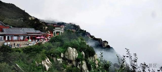 我想离开浪浪山，去看看泰山的四季轮转！