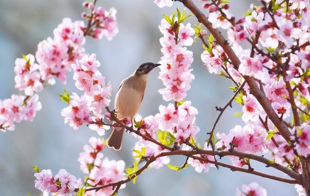 两性关系:早上起床撩一句，让异性想你好几天