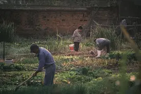明日四月初九不一般，老话说“红砂百事吉”，红砂日是吉日吗？图片