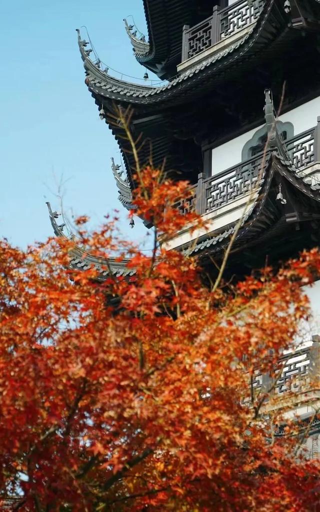 这样的张家港，我“All in”了！