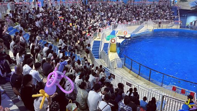 国庆遇上中秋，潍坊文旅盛宴点燃假日激情
