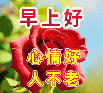 早安祝福语短句暖心，清晨祝福带字唯美图片，祝你幸福安康吉祥