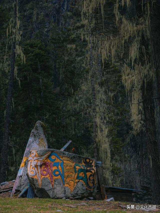 西藏赏秋，这个地方不得不服！彩林冰川惊艳双眼！