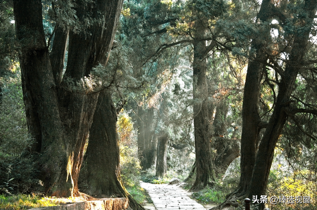 开工倦了？来剑阁，把生活调回松弛频道~