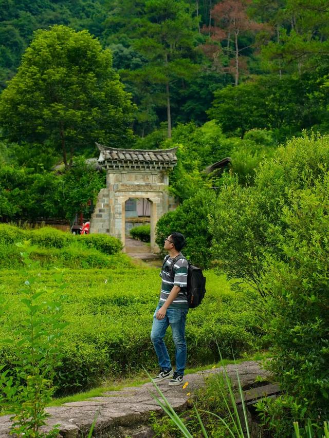 全域好水 亲水纳凉 | 热浪围城？武夷山“清凉刺客”申请出战