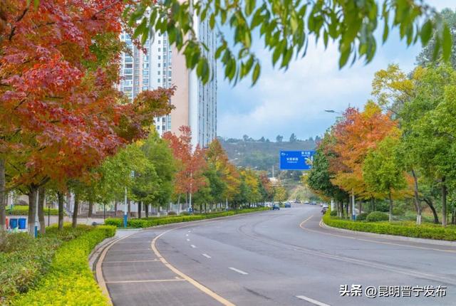 秋染宜居城——深秋的昆阳藏着最惬意的生活模样