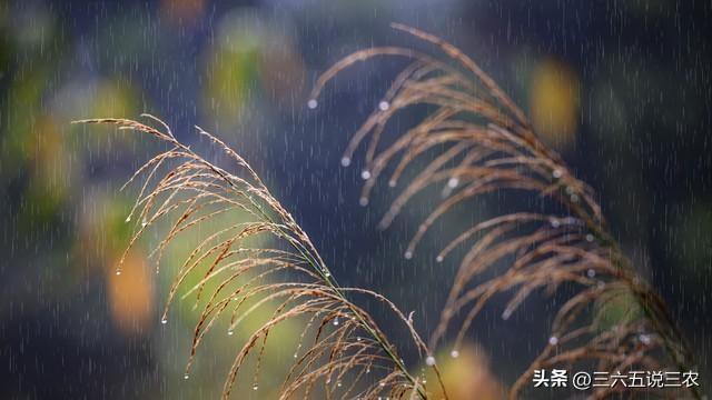 “不怕中秋晴，就怕中秋雨”	，明日八月十五中秋，下雨有啥不好？