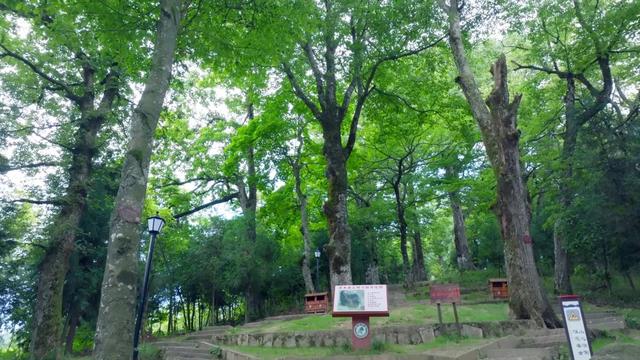 湖南海拔1300米的高山中藏着一个神秘村子,风景不输江西篁岭