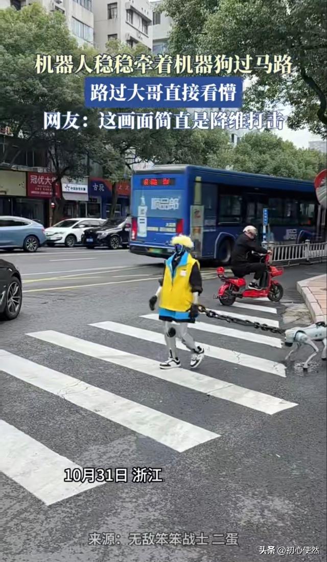 机器人牵机器狗过马路！路过大哥看懵：这是未来已来？