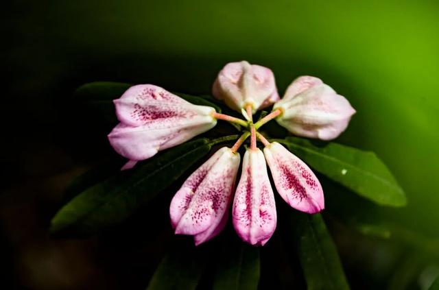 春假倒计时｜汉江源亲子踏青指南，承包全家春日欢喜！