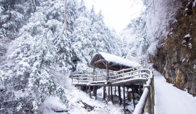 新年第一站,我先冲了!