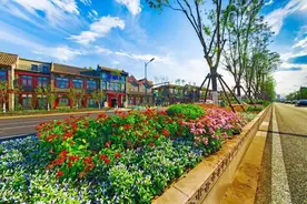 聚焦十年⑤丨北京西城：坚持规划引领，扎实开展城市更新图片