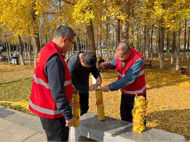 框住一园秋色：临沂园博园创意景观引客来